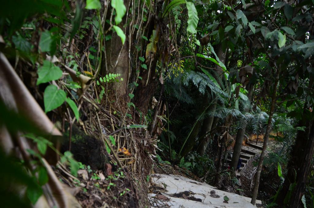 The Woodz Homestay Tanah Rata Exterior photo